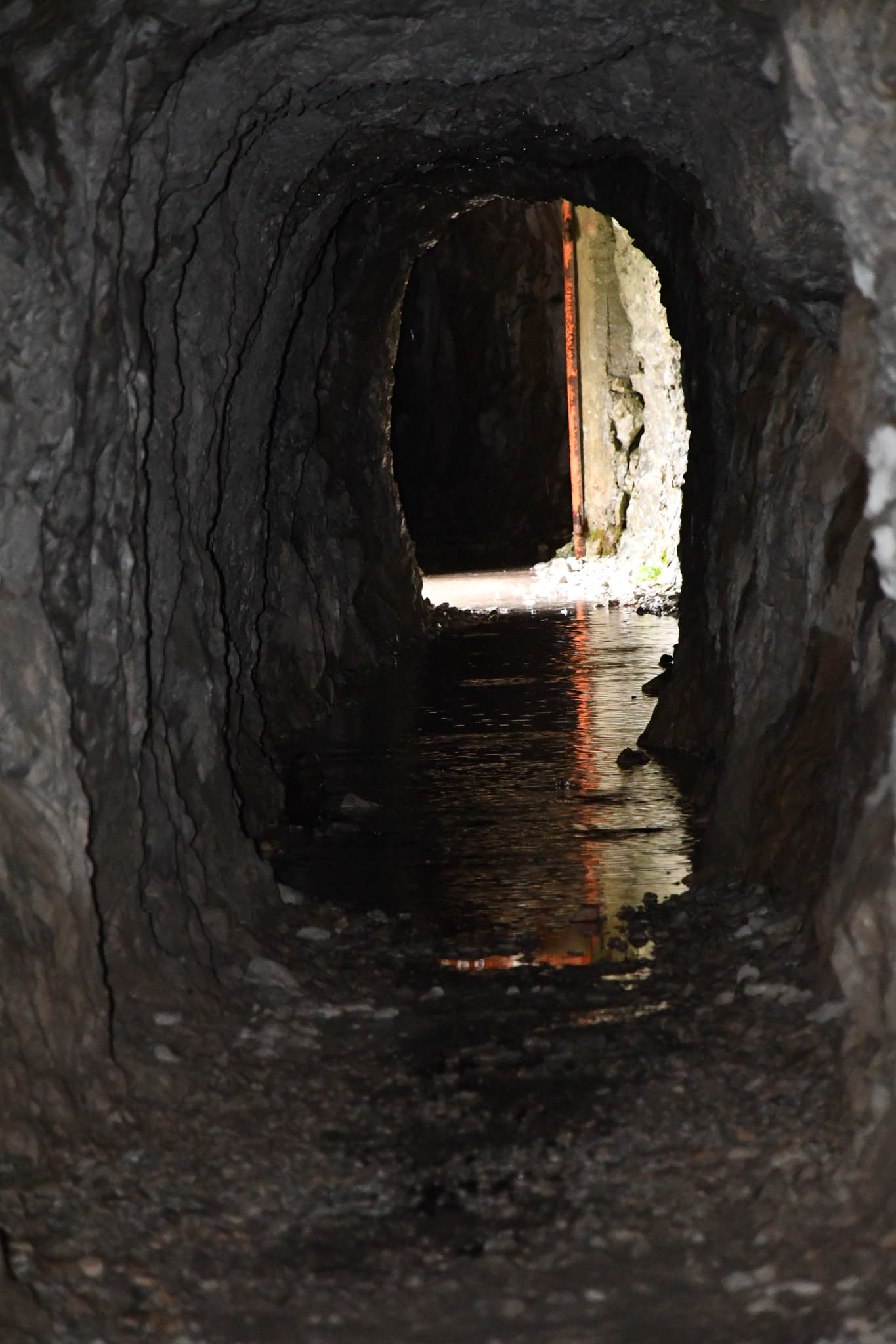 Born Tunnel midway portal